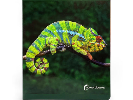 Animales De La Selva