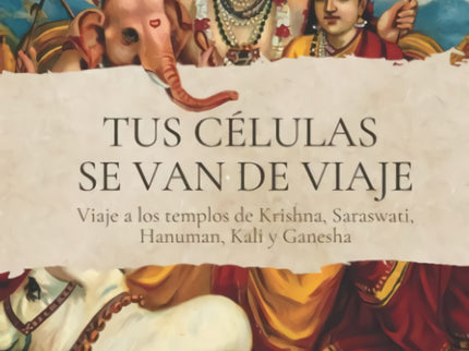 Tus Células Se Van De Viaje