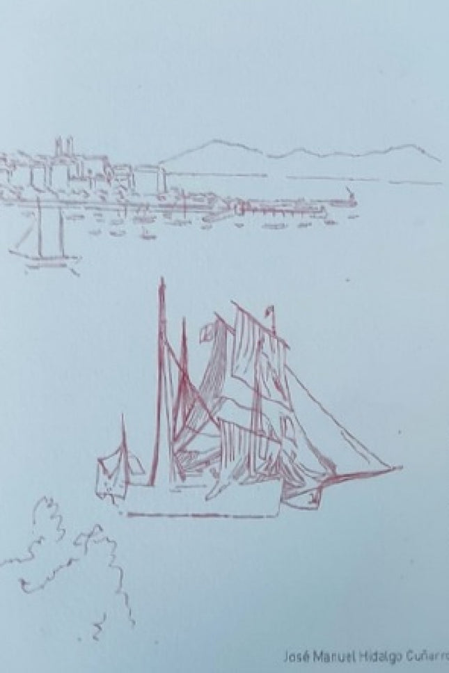Breve Historia De O Castro De Vigo