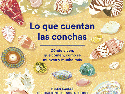 Lo Que Cuentan Las Conchas