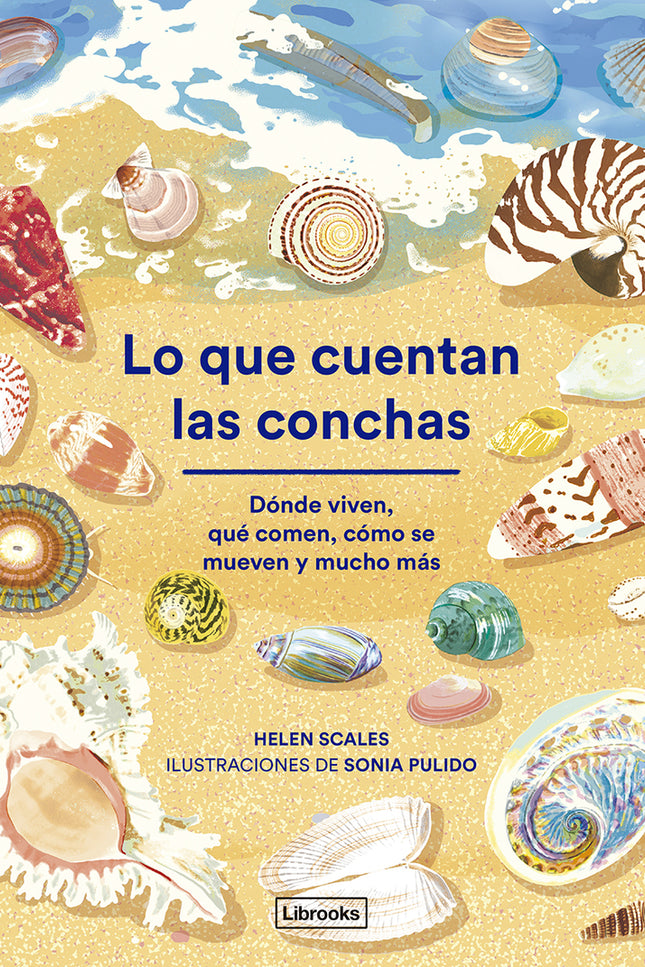 Lo Que Cuentan Las Conchas