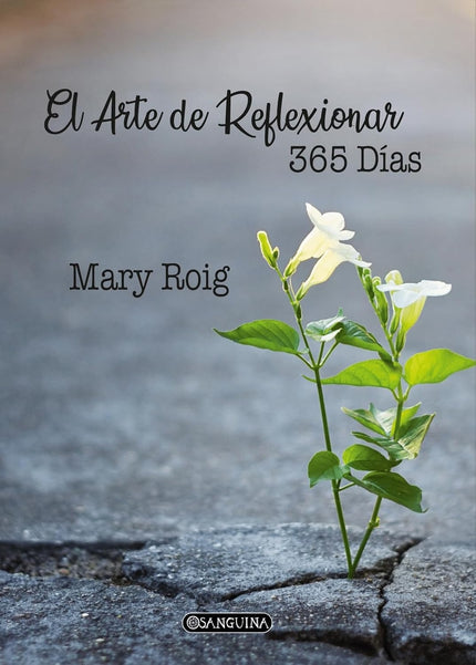 El Arte De Reflexionar