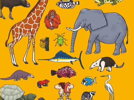 Libro Busca Y Encuentra Entre Los Animales: Un libro con solapas sobre todo tipo de animales con 6 divertidas escenas desplegables llenas de detalles y 10 solapas con imágenes aisladas que el niño debe encontrar en las escenas. Al leerlo, el niño descubrirá la diversidad de la fauna de nuestro planeta: aves, peces, mamíferos marinos y terrestres, reptiles, anfibios, insectos?