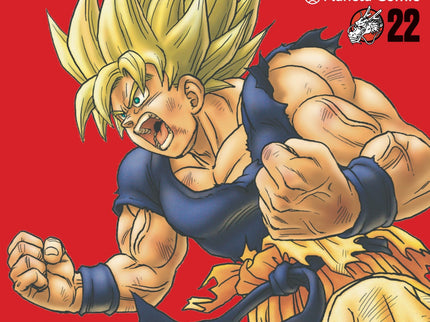 Dragon Ball Ultimate Nº 22/34