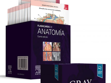 Gray. Flashcards De Anatomía