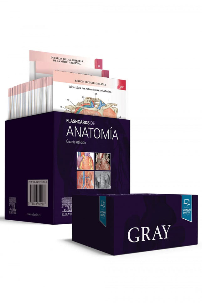 Gray. Flashcards De Anatomía