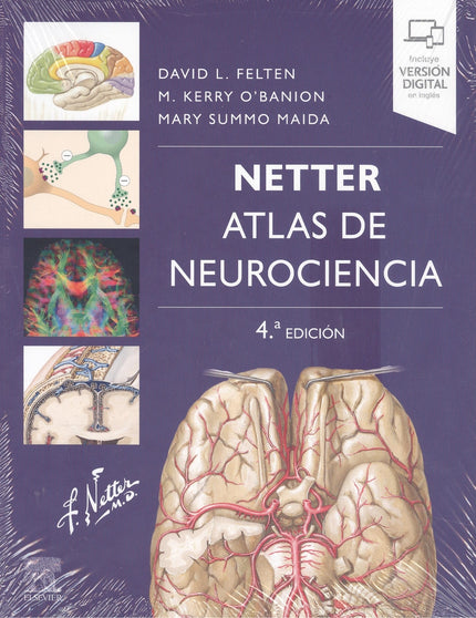Netter. Atlas De Neurociencia (4ª Ed.)