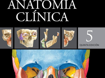 Netter. Anatomía Clínica.