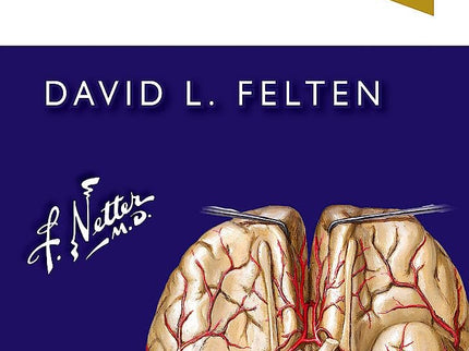 Netter Flashcards De Neurociencia 4ª Ed