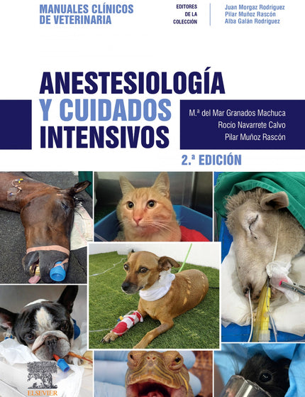 Collection image for: VETERINARIA