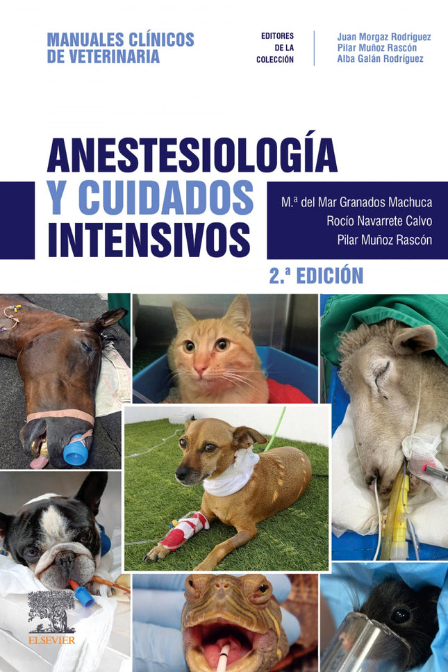 Anestesiologia Y Cuidados Intensivos 2ª Ed