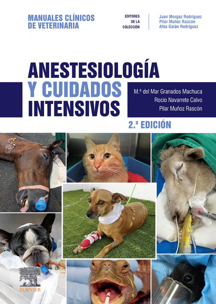 Anestesiologia Y Cuidados Intensivos 2ª Ed