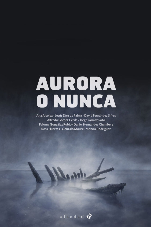 Libro Aurora O Nunca: En los veinticuatro relatos de este libro se narran historias que transcurren en el misterioso pue