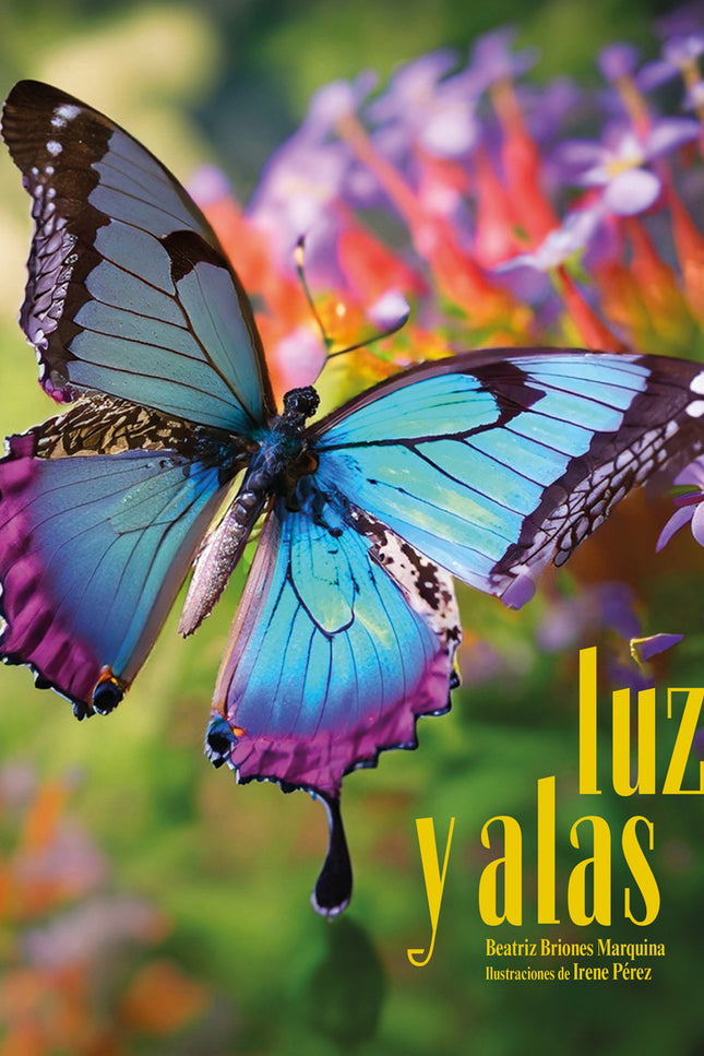 Luz Y Alas