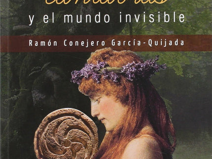 Libro Las Estelas Cántabras Y El Mundo Invisible: .