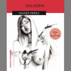 Libro Valkiria: Este libro es un cartel que indica claramente donde se encuentra la salida de emergencia más próxima. So