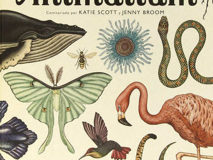 Libro Animalium.: Bienvenido a «Animalium». Un museo que está siempre abierto y que alberga una asombrosa colección de m