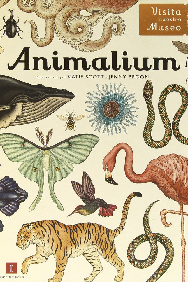 Libro Animalium.: Bienvenido a «Animalium». Un museo que está siempre abierto y que alberga una asombrosa colección de m