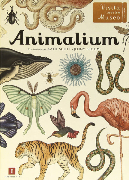 Libro Animalium.: Bienvenido a «Animalium». Un museo que está siempre abierto y que alberga una asombrosa colección de m
