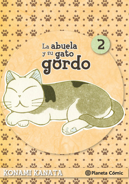 Libro La Abuela Y Su Gato Gordo: Esta es la historia de las peripecias diarias de un entrañable felino y su dueña, propi