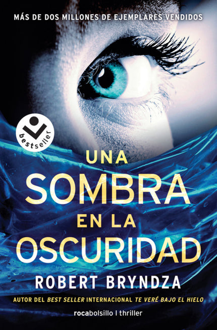 Libro Una Sombra En La Oscuridad: En el ocaso de una sofocante noche de calor, la detective Erika Foster recibe una llamada para asistir a la escena de un crimen. La víctima, un doctor, es hallado ahorcado en su cama.