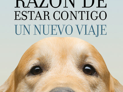 Libro Tu Mejor Amigo: La aclamada continuación de La razón de estar contigo. Chico es un buen perro. Tras la búsqueda de