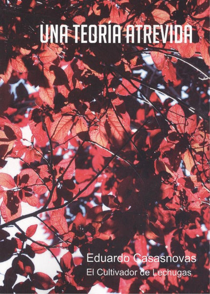 Portada del libro Una Teoría Atrevida