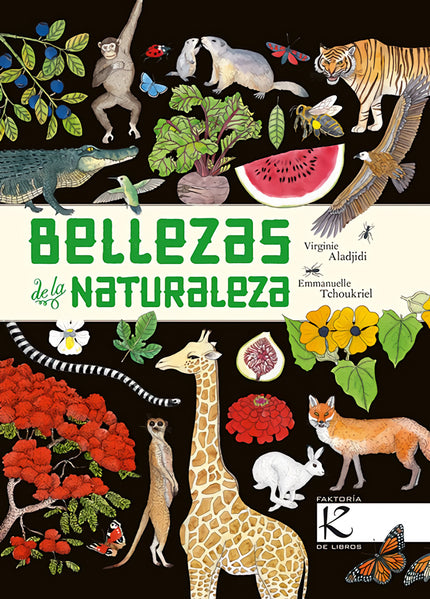 Libro Bellezas De La Naturaleza: Imágenes y palabras se conjugan aquí ante todo para el placer visual y el gusto de clasificar. Cada uno y cada una, según sus conocimientos y según le apetezca, podrá disfrutar observando y relacionando, y sintiéndose implicados y englobados en esta naturaleza tan próxima y tan lejana, tan frágil y tan sorprendente...
