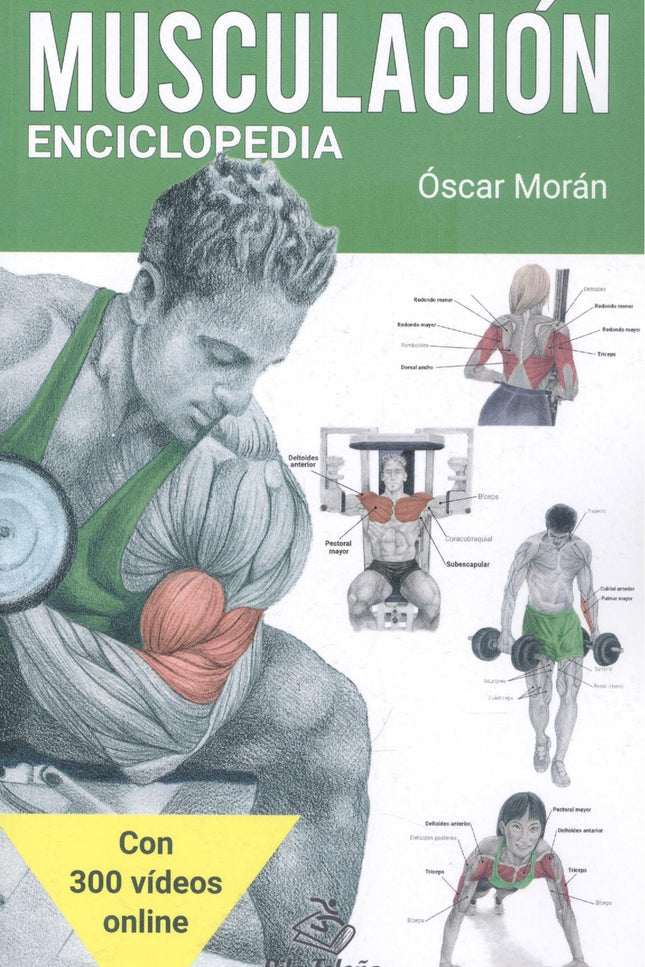 Musculación