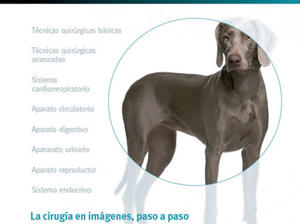 Libro Cirugia En La Clinica Pequeños Animales: Este nuevo volumen de la colección 'Cirugía en la clínica de pequeños ani
