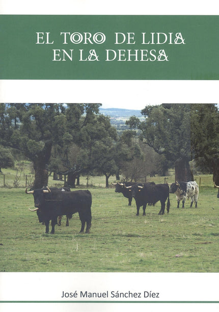 El Toro De Lidia En La Dehesa