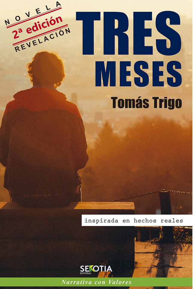 Libro Tres Meses: 'Tres meses' es la historia de un joven ante una muerte anunciada. Novela que invita al lector a afrontar con valentía y honradez su propia realidad;una historia en la que la luz de la fe, la alegría de la esperanza y la fuerza de la amistad sincera d