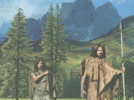 Portada del libro La Diosa De Hielo