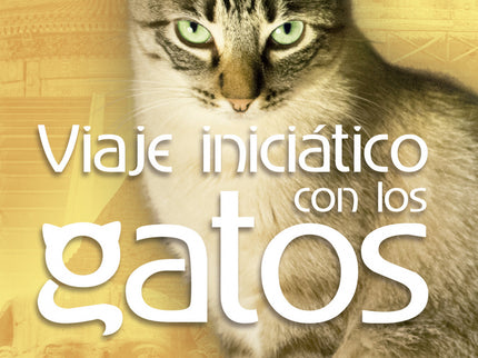 Libro Viaje Iniciático Con Los Gatos: Los gatos son seres fascinantes, poseedores de una sabiduría tal que en el antiguo Egipto eran considerados semidioses. Nos hipnotizan, nos hechizan.