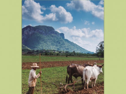 Portada del libro Cuba, Isla De Corazones Rotos