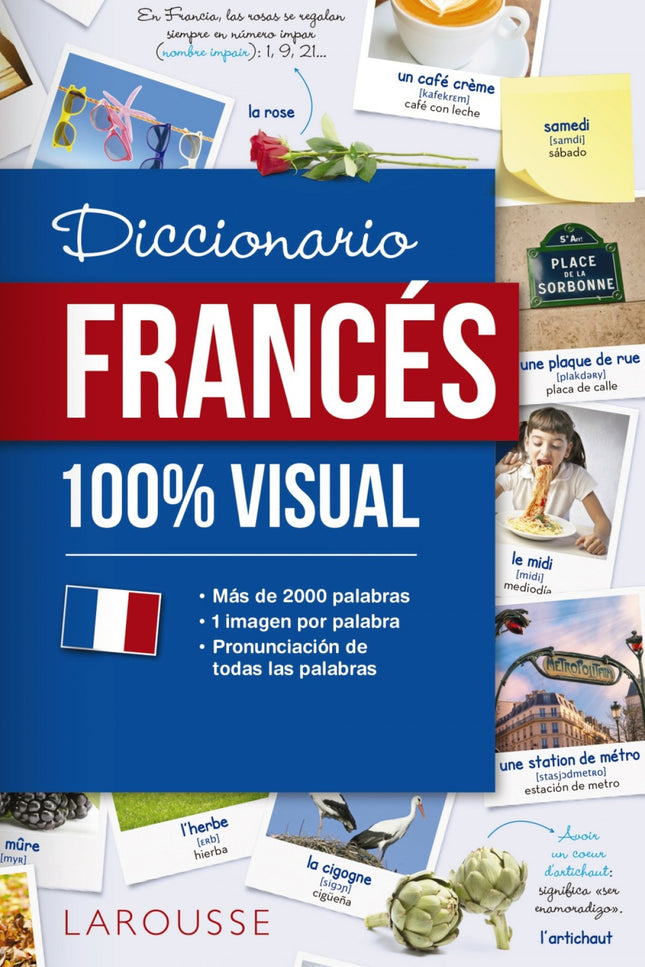 Libro Diccionario De Francés 100% Visual: La obra ideal para familiarizarse con el vocabulario y las expresiones básicas