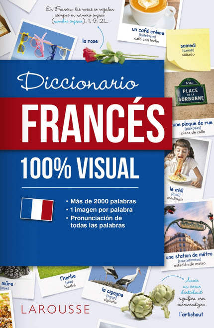 Libro Diccionario De Francés 100% Visual: La obra ideal para familiarizarse con el vocabulario y las expresiones básicas