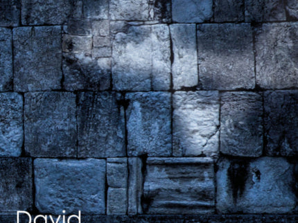 Portada del libro David, Sueños De Un Rey