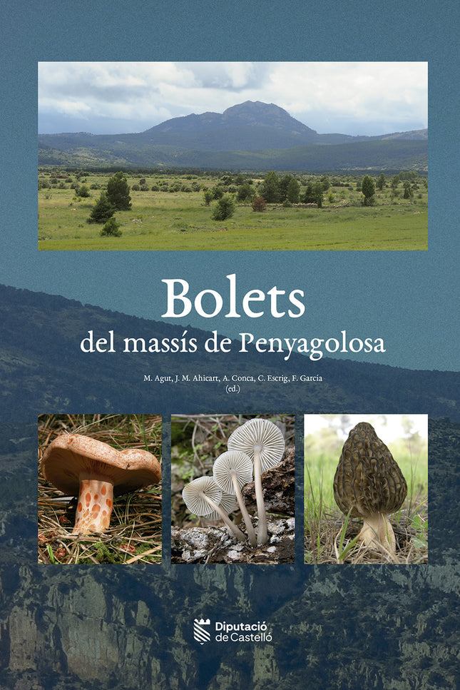 (val).bolets Del Massis De Penyagoloso