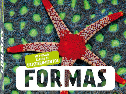 Libro Formas: Libros ideales para la educación Montessori con fotografias de la naturaleza de gran calidad. Todas las formas están en la naturaleza Pero identificarlas no siempre es fácil.