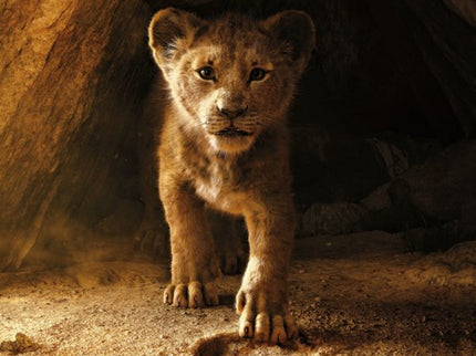 Libro La Novela: Vuelve a emocionarte con la conmovedora historia de Simba, el cachorro de leo?n que crecio? hasta convertirse en rey.