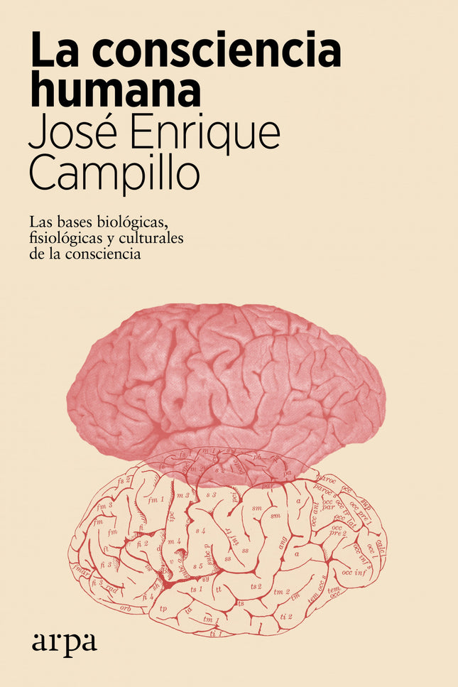 La Consciencia Humana
