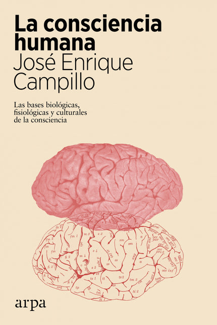 La Consciencia Humana