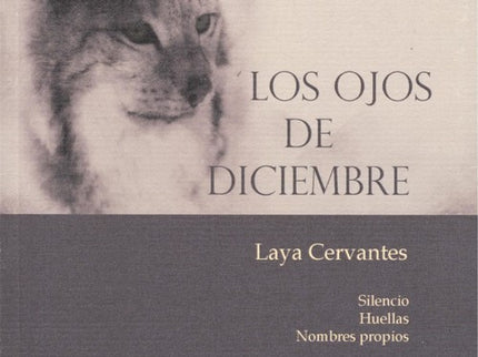 Los Ojos De Diciembre