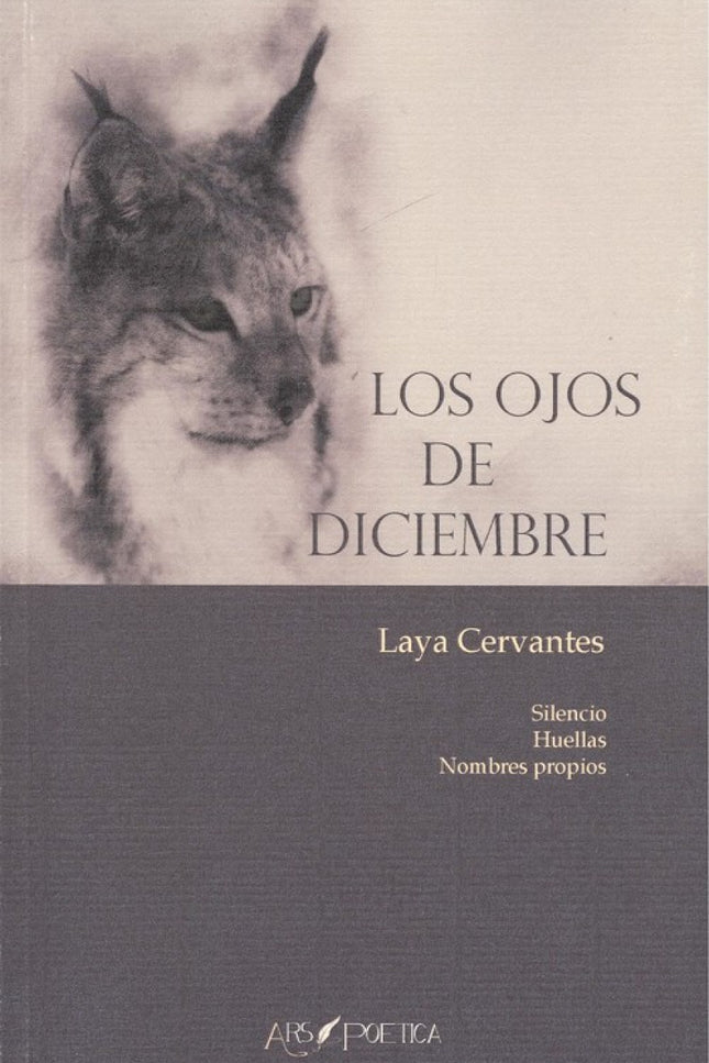 Los Ojos De Diciembre