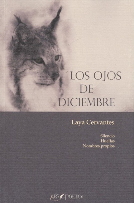 Los Ojos De Diciembre
