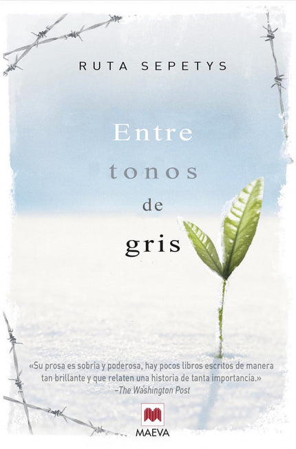Entre Tonos De Gris
