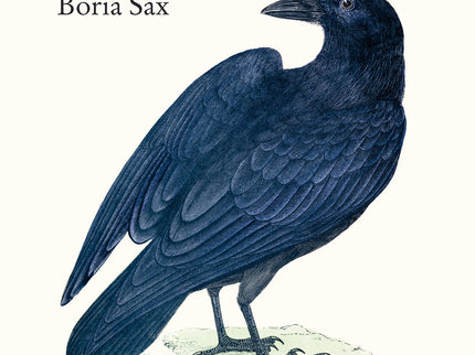 Cuervo. Naturaleza, historia y simbolismo - Boria Sax - Tapa blanda