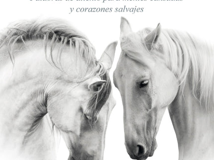 Libro La Dicha De La Verdadera Meditación: Tras superar una durísima depresión que lo llevó al borde del suicidio, Jeff Foster es hoy un reconocido maestro espiritual. Con este libro nos invita a descubrir el santuario interior de la verdadera meditación.