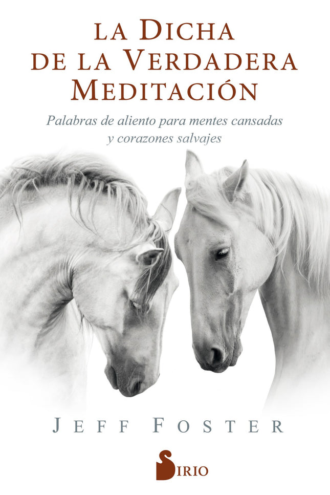 Libro La Dicha De La Verdadera Meditación: Tras superar una durísima depresión que lo llevó al borde del suicidio, Jeff Foster es hoy un reconocido maestro espiritual. Con este libro nos invita a descubrir el santuario interior de la verdadera meditación.